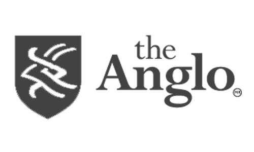 anglo-gris